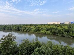 Kingsford Waterbay (D19), Apartment #621415431
